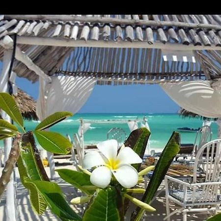 Luxury Simba House In Watamu ☆☆☆☆☆ Lägenhet Exteriör bild