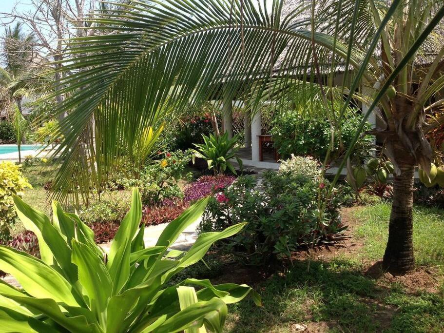 Luxury Simba House In Watamu ☆☆☆☆☆ Lägenhet Exteriör bild