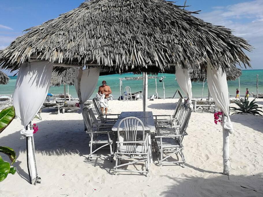 Luxury Simba House In Watamu ☆☆☆☆☆ Lägenhet Exteriör bild